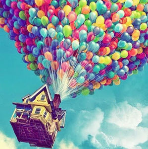 Meet your Posher, Bella